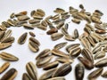 Pile and heap of a black color sunflower seeds with shell texture isolated on white background Royalty Free Stock Photo