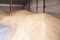 Pile of heaps of wheat grains at mill storage or grain elevator