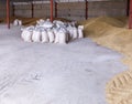 Pile of heaps of wheat grains and sacks at mill storage or grain elevator