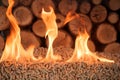 Pile of coniferous pellets in flames - wooden biomass Royalty Free Stock Photo