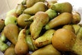 Pile of homegrown pears