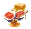 Pile of honeycomb pieces, honey dipper and fresh cut fig isolate Royalty Free Stock Photo