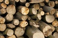 Pile of hornbeam chopped logs close-up Royalty Free Stock Photo