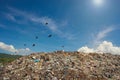 Pile of household garbage in the landfill. Trash in municipal landfills for household waste, pollution problem