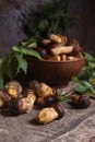 Pile of Imleria Badia or Boletus badius mushrooms commonly known as the bay bolete on vintage wooden background