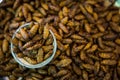 Pile of insect food Royalty Free Stock Photo