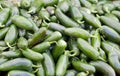 Pile of Jalapeno Peppers