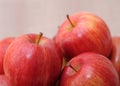 Jonagold apples Royalty Free Stock Photo