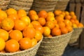 Pile of juicy oranges in wicker baskets on market counter Royalty Free Stock Photo