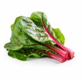 Vibrant Spinach And Radish Leaves On White Background