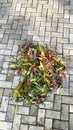 A pile of leaves drop on top of conblock