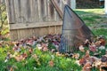 Pile of leaves and a rake leaning against a fence fall background