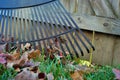 Pile of leaves and a rake leaning against a fence fall background