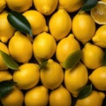 A Pile of Lemons With Leaves