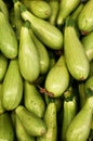 Pile of light green bottle gourds from Turkey Royalty Free Stock Photo