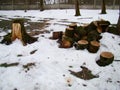 A pile of logs covered with snow
