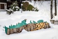 Pile Logs Covered in Snow