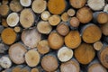 Pile of logs cut from colorful aspens, birches, alders  background Royalty Free Stock Photo