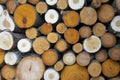 Pile of logs cut from colorful aspens, birches, alders  background Royalty Free Stock Photo