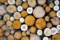 Pile of logs cut from colorful aspens, birches, alders background