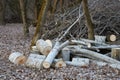 Logs from cut tree material Royalty Free Stock Photo