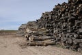 Pile of logs, cutted down forest wood.