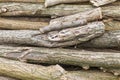 Pile of logs of firewood Royalty Free Stock Photo