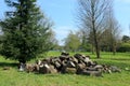A pile of logs in the Hever woodlands Royalty Free Stock Photo