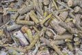 Pile of logs Royalty Free Stock Photo