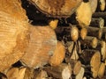 Pile of logs Royalty Free Stock Photo