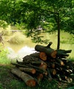 Pile of logs by a pond