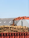 Pile of logs at the port ready for loading to ships Royalty Free Stock Photo