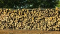 Pile of logs at the port ready for loading to ships Royalty Free Stock Photo