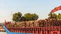 Pile of logs at the port ready for loading to ships Royalty Free Stock Photo