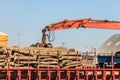 Pile of logs at the port ready for loading to ships Royalty Free Stock Photo