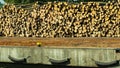 Pile of logs at the port ready for loading to ships Royalty Free Stock Photo