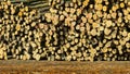 Pile of logs at the port ready for loading to ships Royalty Free Stock Photo