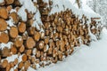 A pile of logs of sawn trees gathered together lying covered with snow. Making firewood for the winter