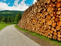 Pile of logs stacked along the road