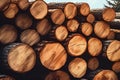 A pile of logs stacked on top of each other, ready to provide warmth and fuel for outdoor cooking, Log trunks pile, Wooden trunks