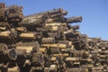 A pile of logs tagged for processing at a lumber mill in Willits, California Royalty Free Stock Photo