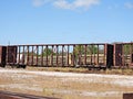 Logs waiting to be transported by railroad