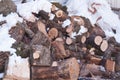 A pile of logs for wood prepared for the winter Royalty Free Stock Photo