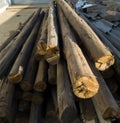 A pile of long dried and used wood poles