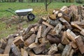 Pile of loose firewood outdoors in a garden Royalty Free Stock Photo