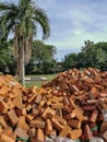 Pile of loose red bricks stacked on ground at construction site.