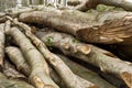 Pile of lumber Royalty Free Stock Photo