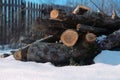 Pile of lumbers on the snowy field