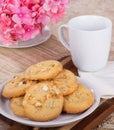 Macadamia Nut Cookies Royalty Free Stock Photo