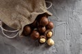 Pile macadamia nuts open kernels and shells in burlap bag on gray concrete background, top view